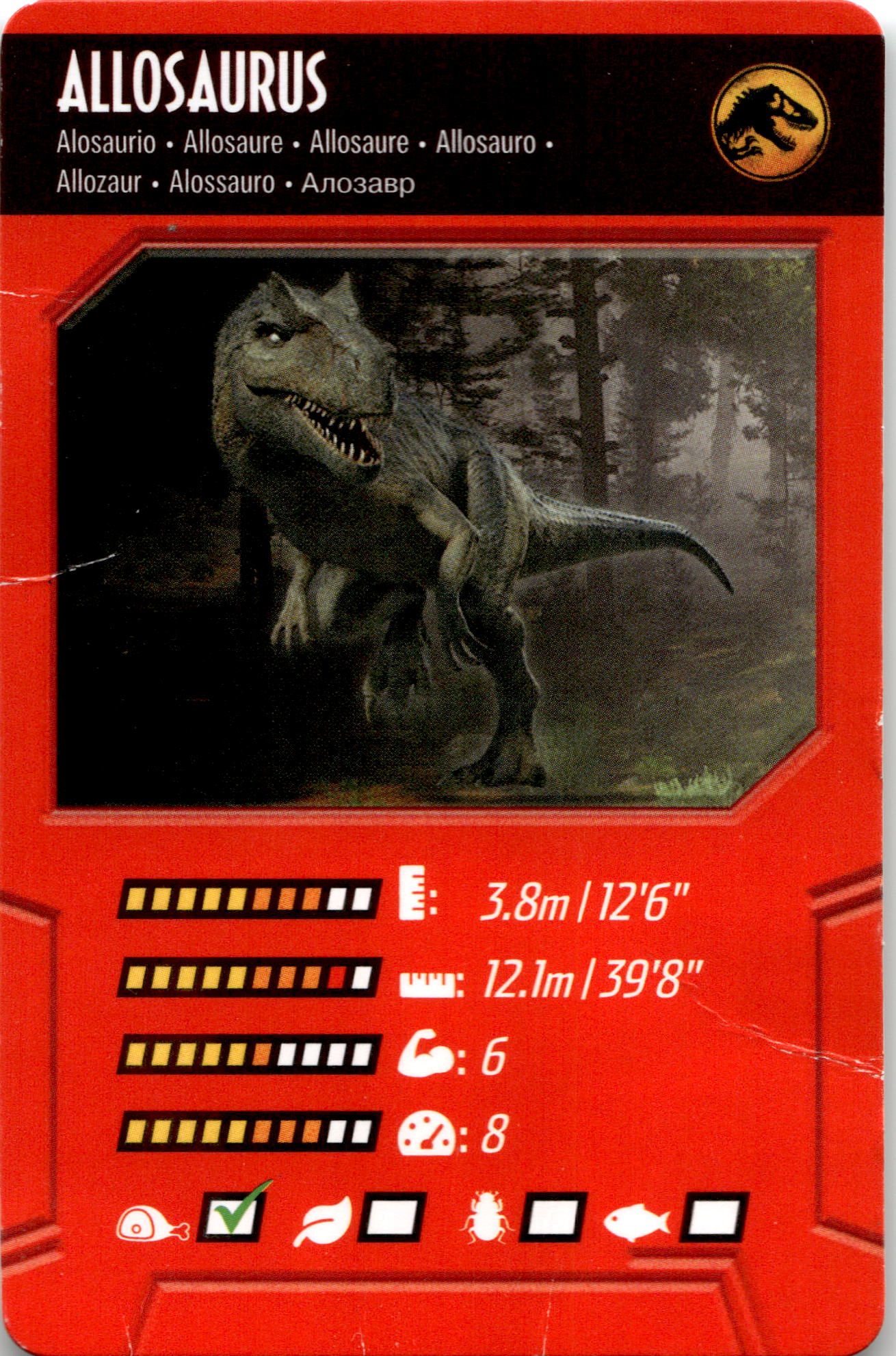Category Image