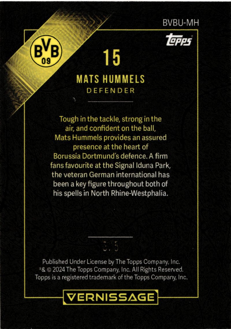 Rückseite – Topps Vernissage Borussia Dortmund