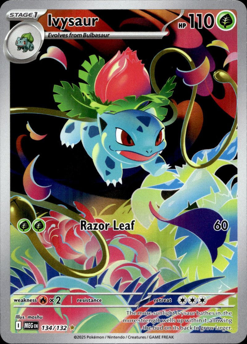 Pokemon MEG EN Mega Evolution