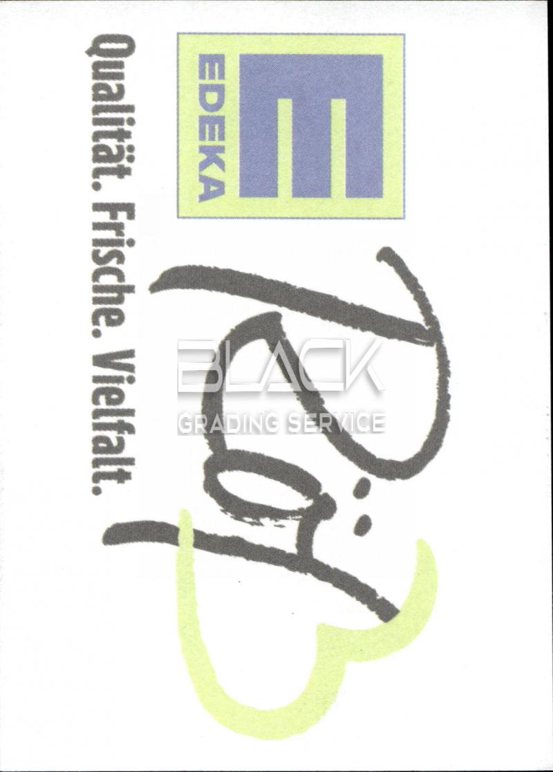 Back - Sticker Stars VfR Wormatia 08 Worms