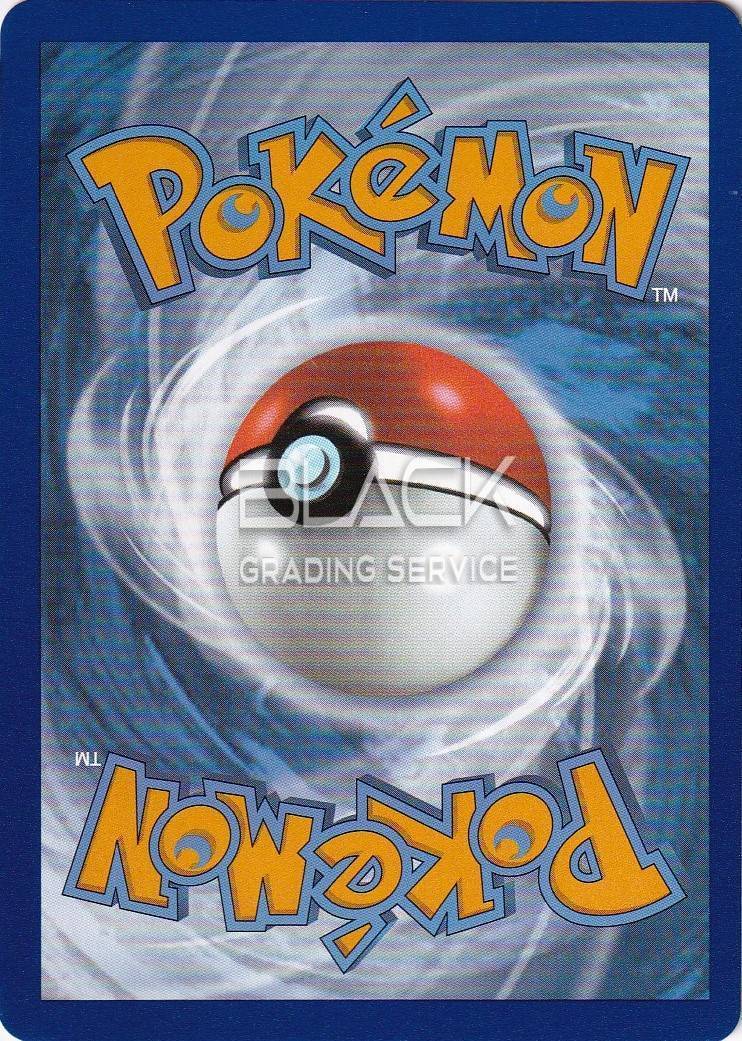 Back - Pokemon SWSH EN Silver Tempest