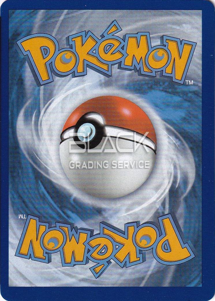 Back - Pokemon S&V EN Obsidian Flames