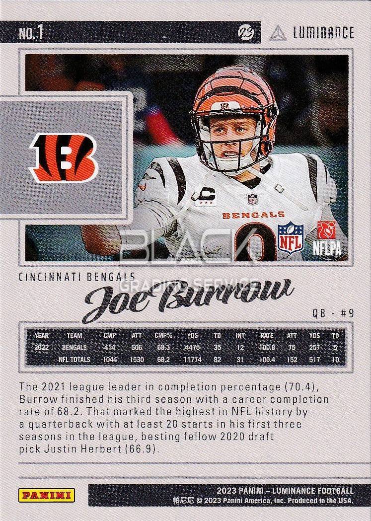 Back - Panini EN Luminance Football