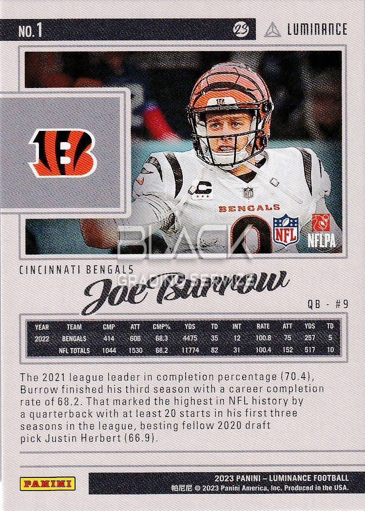 Back - Panini EN Luminance Football