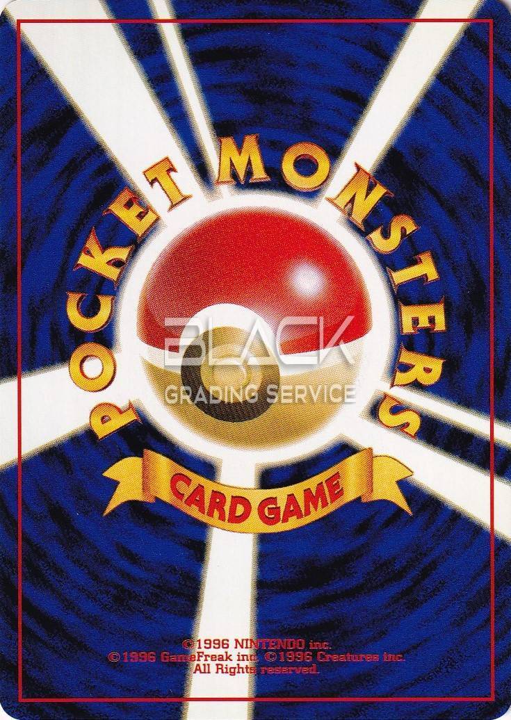 Back - Pokemon JPN Crossing the Ruins