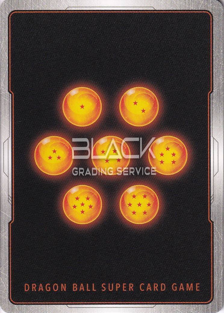 Back - Dragon Ball EN Realm Of The Gods