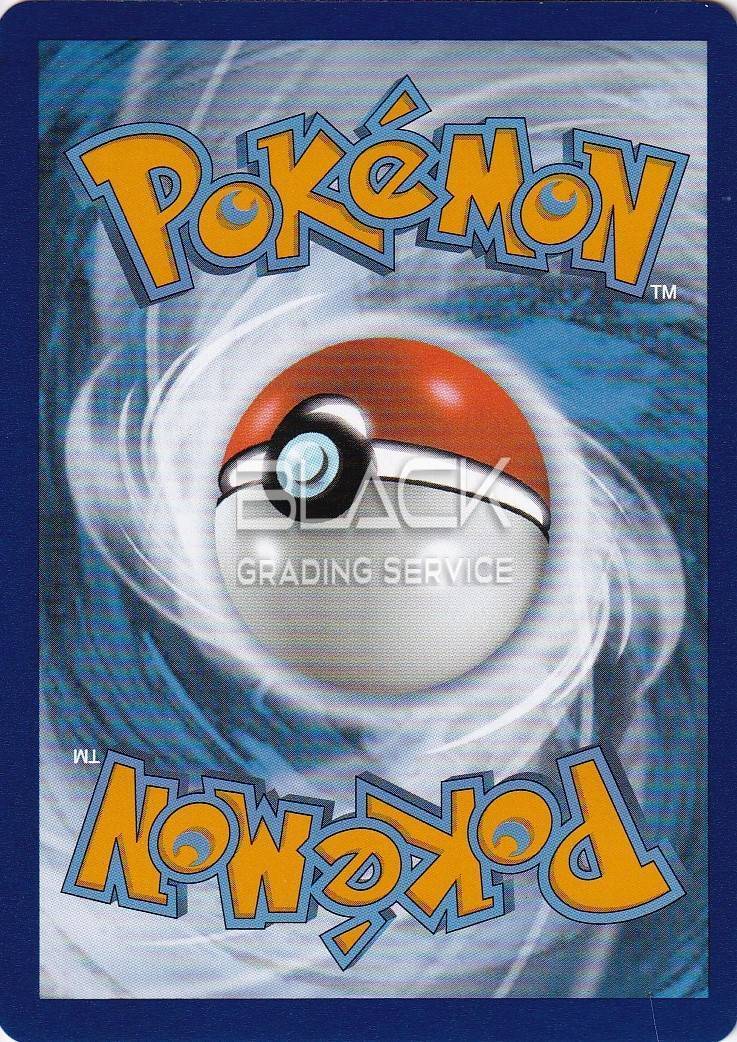Back - Pokemon SWSH EN Silver Tempest