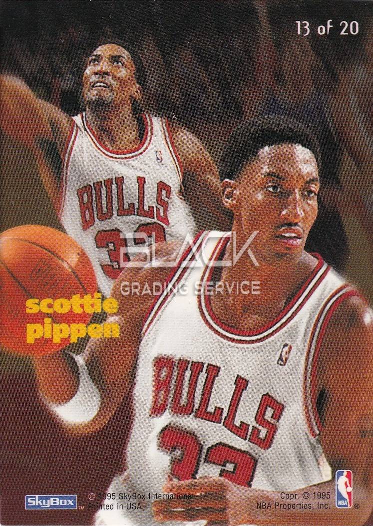 Back - Emotion X-Cited Skybox