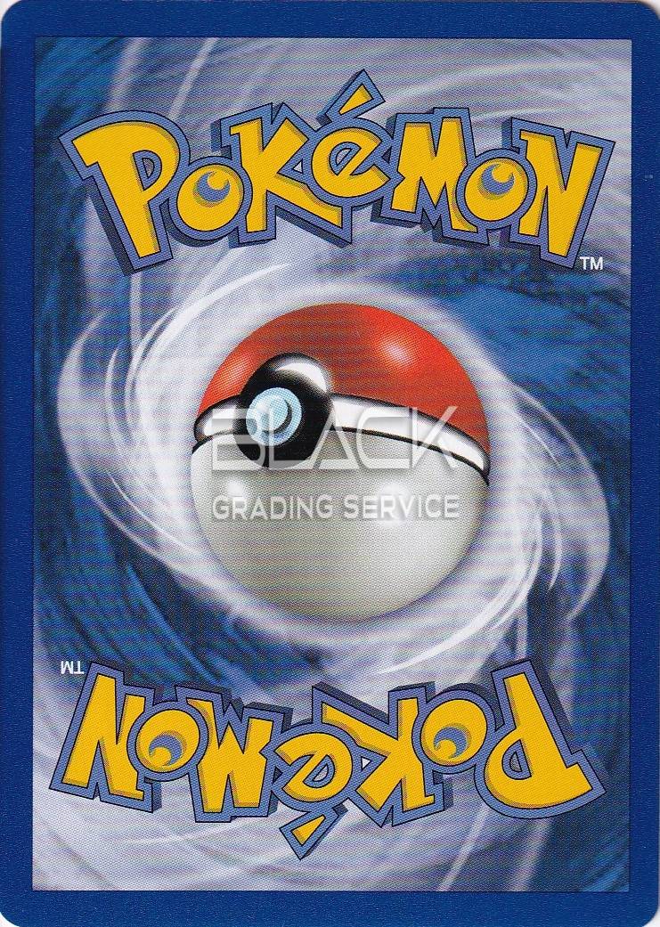 Back - Pokemon GER Jungle