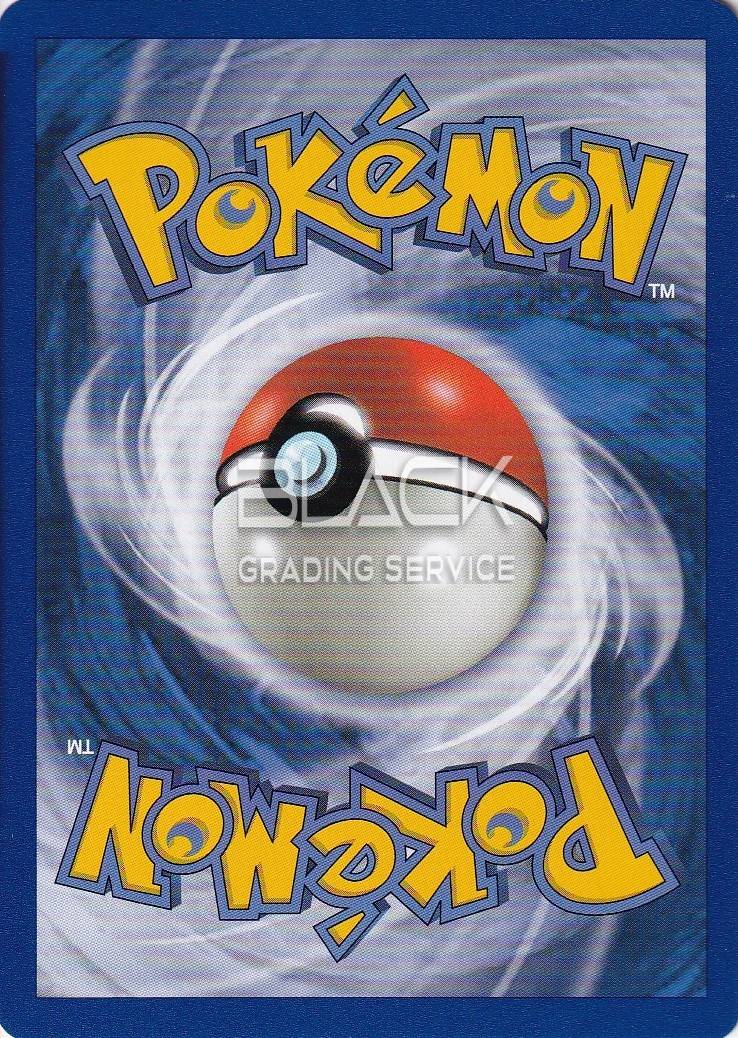 Back - Pokemon GER Jungle