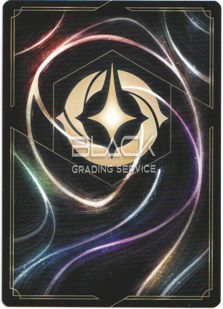 Back - Ravensburger - Disney Lorcana GER The First Chapter