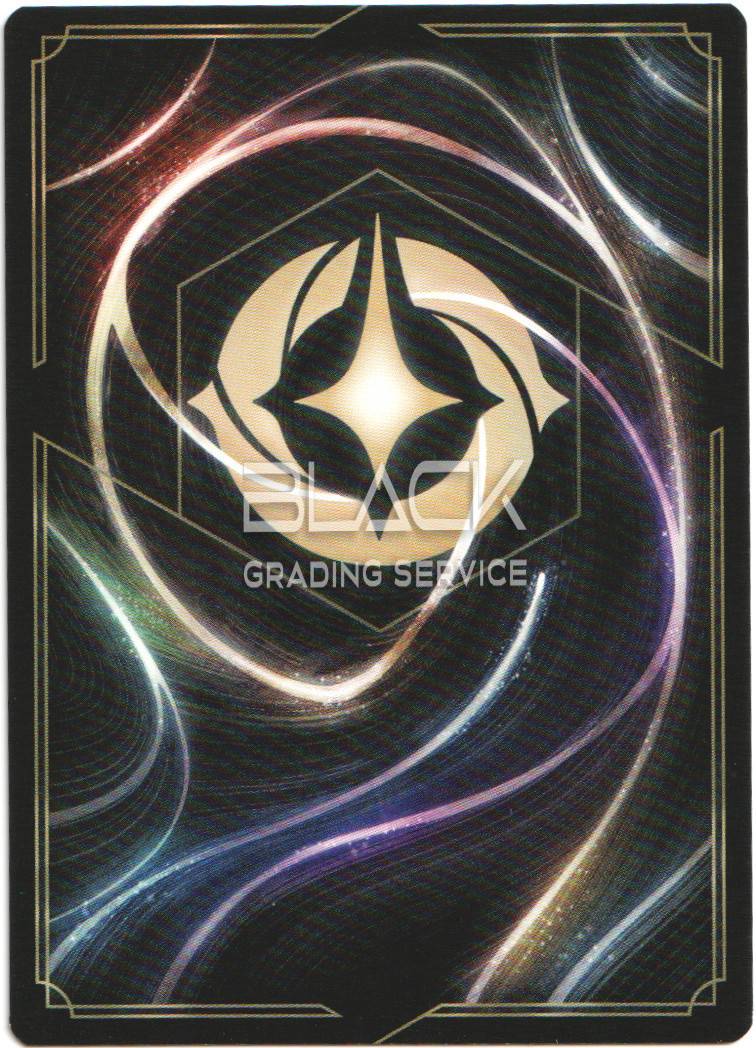 Back - Ravensburger - Disney Lorcana GER The First Chapter