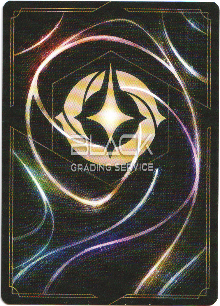 Back - Ravensburger - Disney Lorcana GER The First Chapter