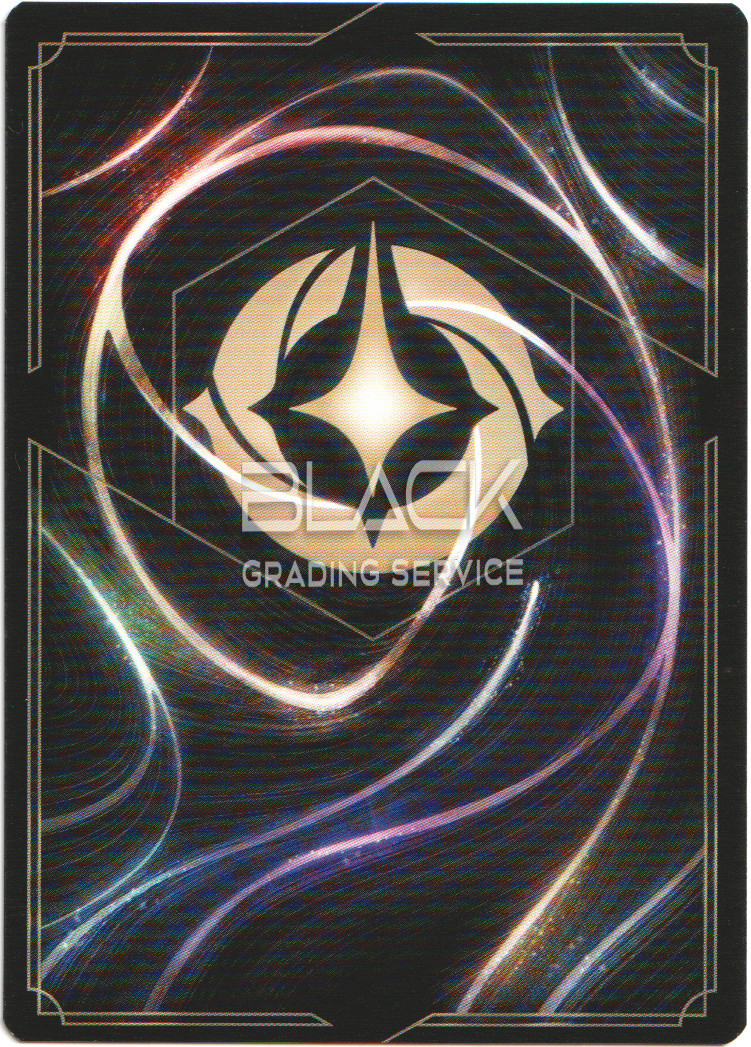 Back - Ravensburger - Disney Lorcana GER The First Chapter