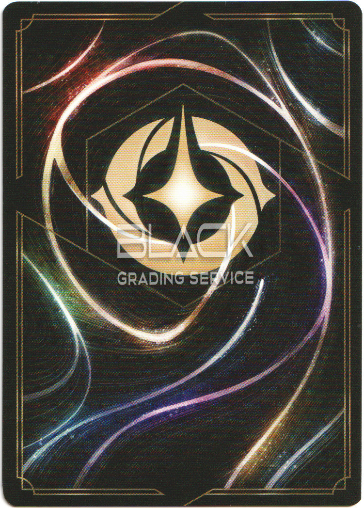 Back - Ravensburger - Disney Lorcana GER The First Chapter