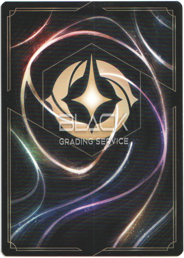 Back - Ravensburger - Disney Lorcana GER The First Chapter