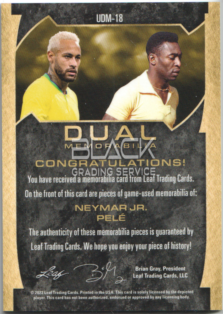 Back - Leaf Ultimate Soccer