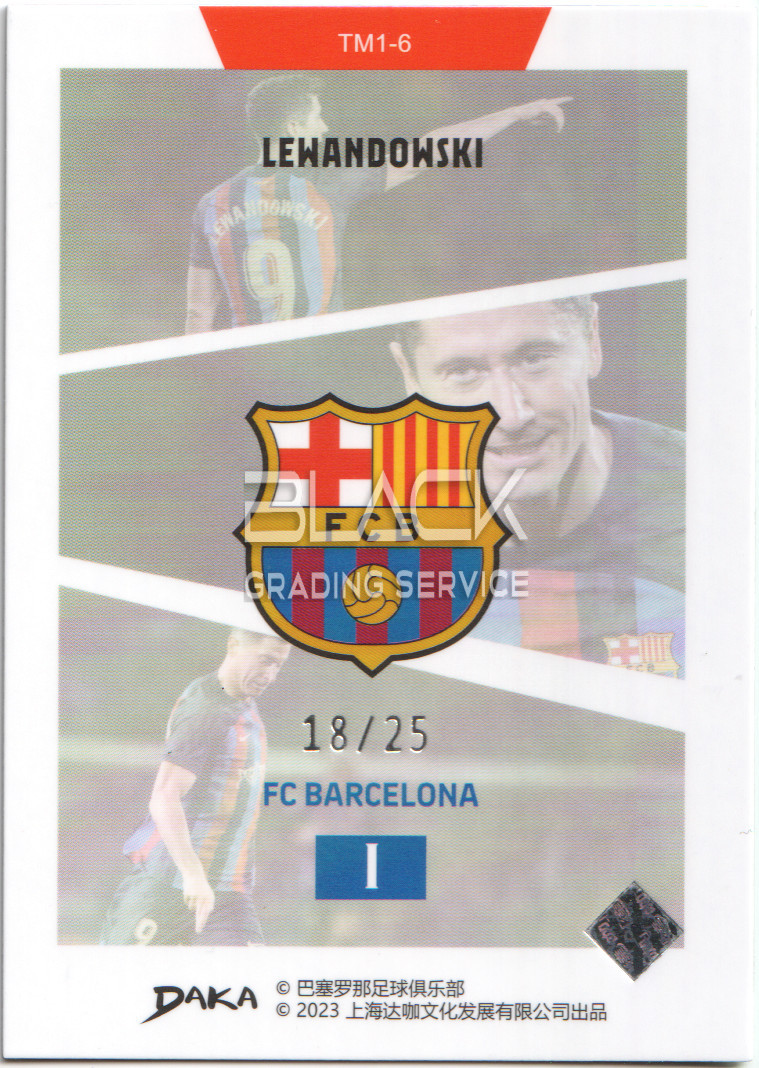 Back - Daka Barcelona Holocene