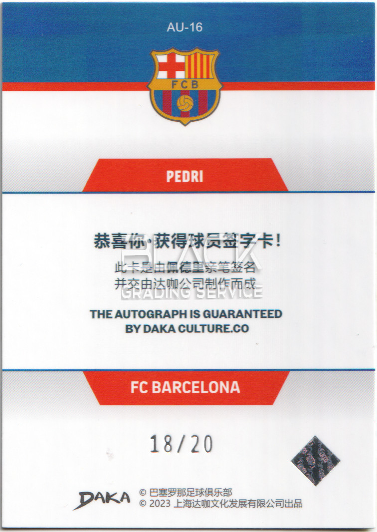 Back - Daka Barcelona Holocene