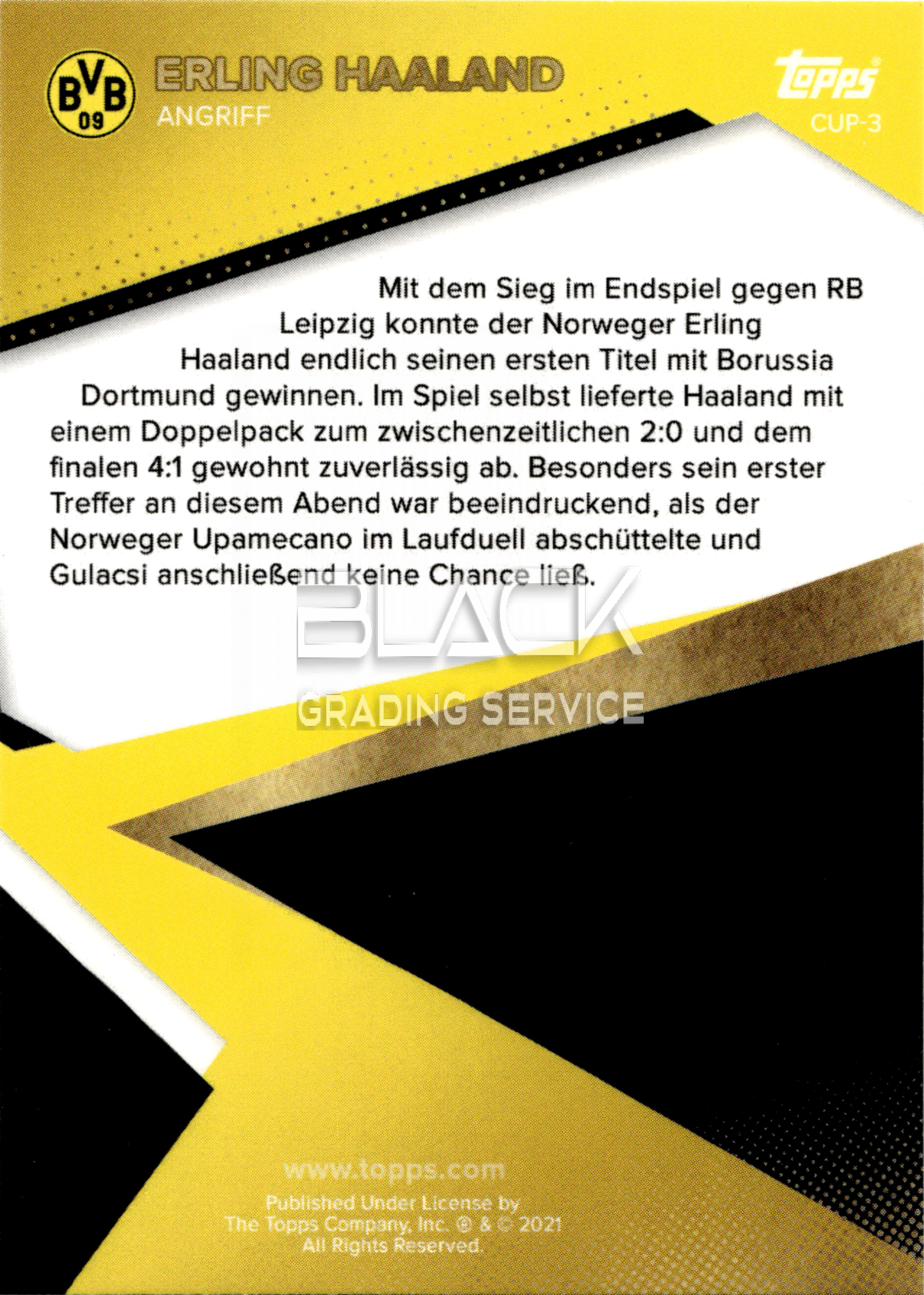 Back - Topps BVB Team Set