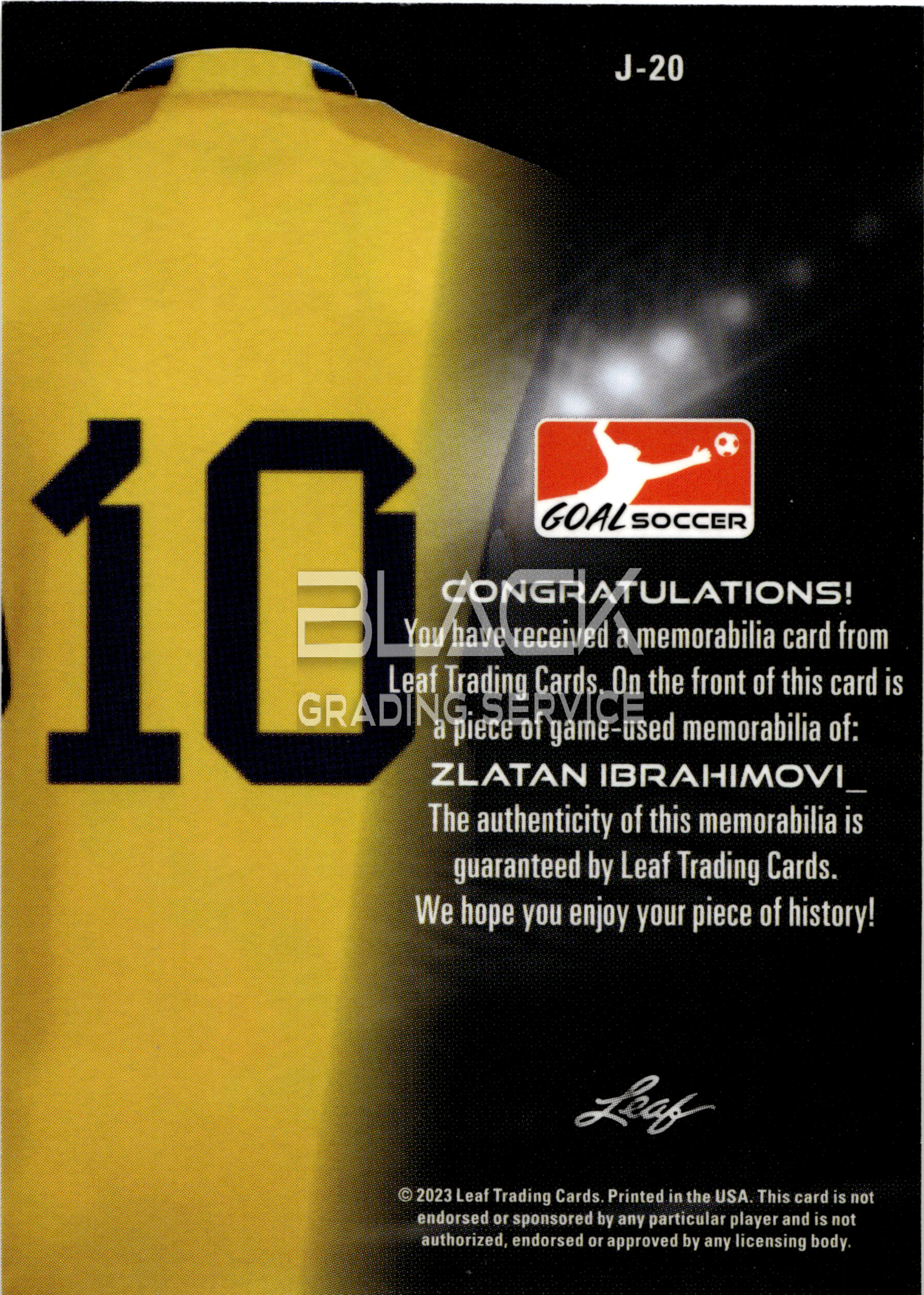 Back - Leaf Goal Soccer