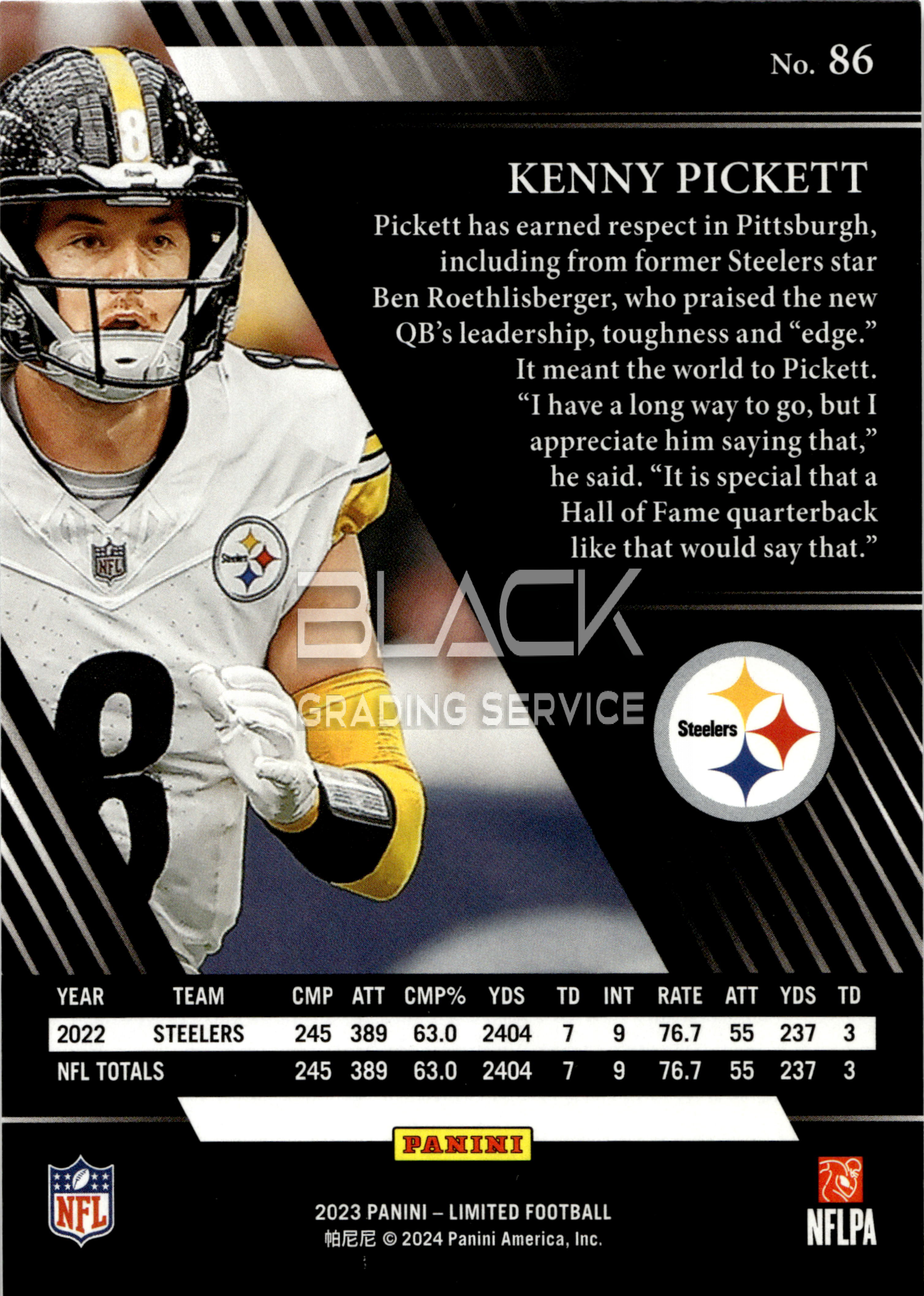 Back - Panini Limited Football