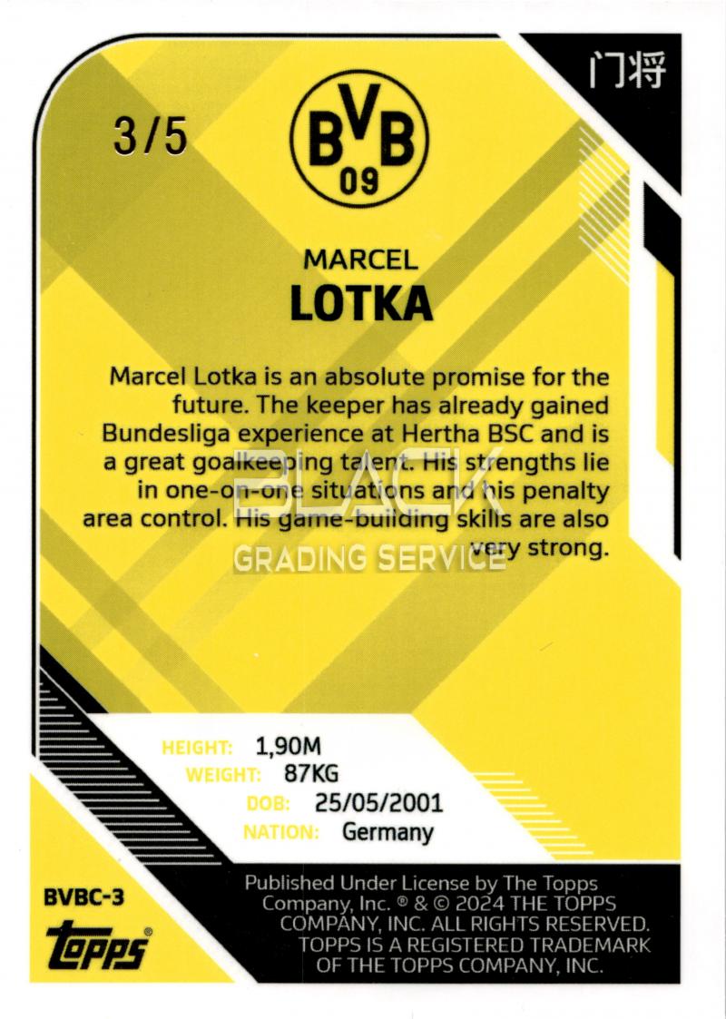 Back - Topps CHN BVB Team Set