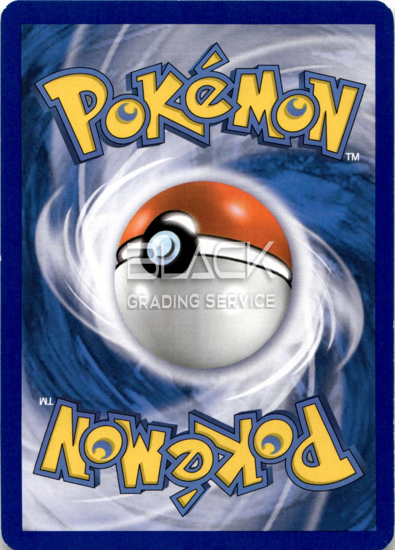 Back - Pokemon B&W GER BOUNDARIES CROSSED