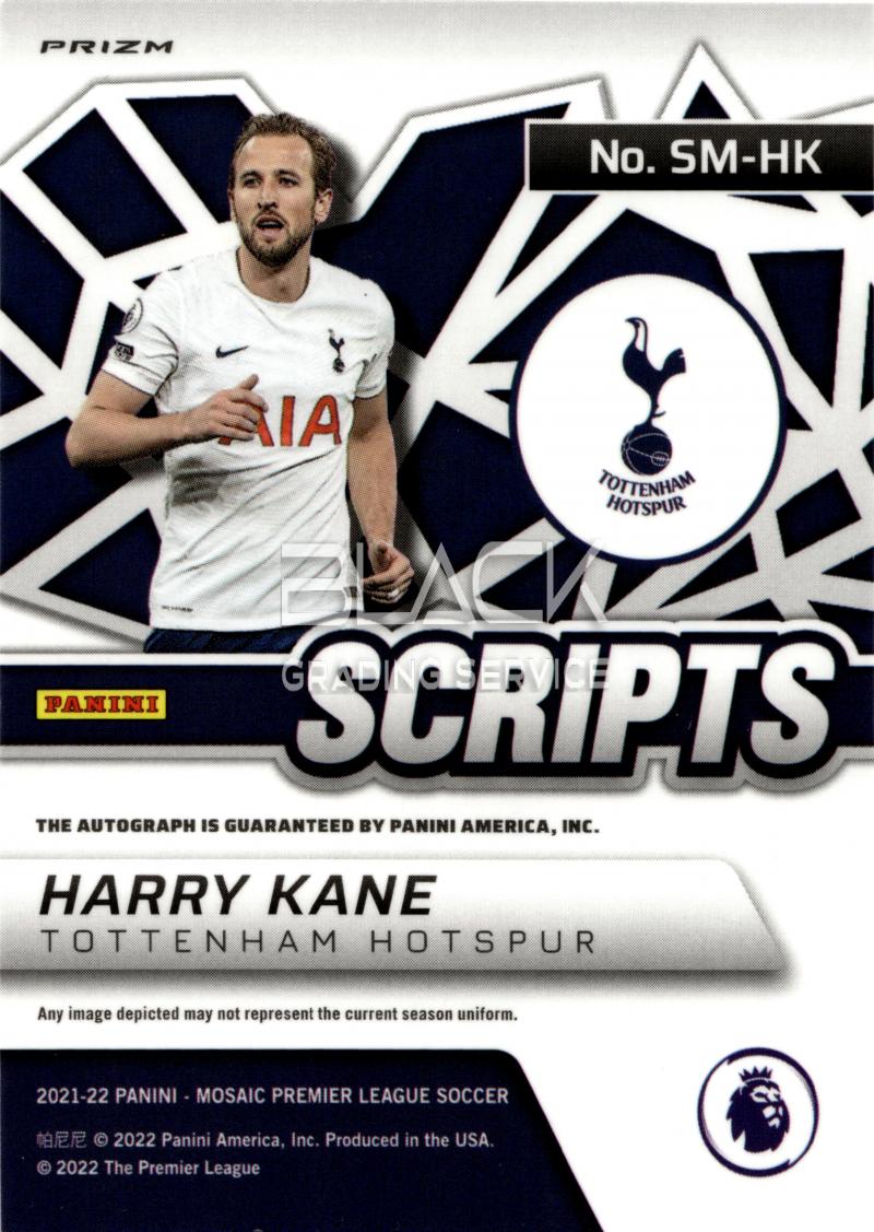 Back - Panini Mosaic Premier League