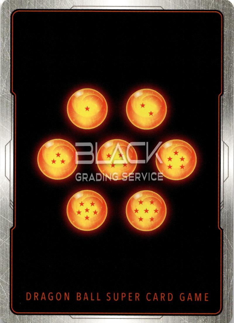 Back - Dragon Ball Super Raging Roar