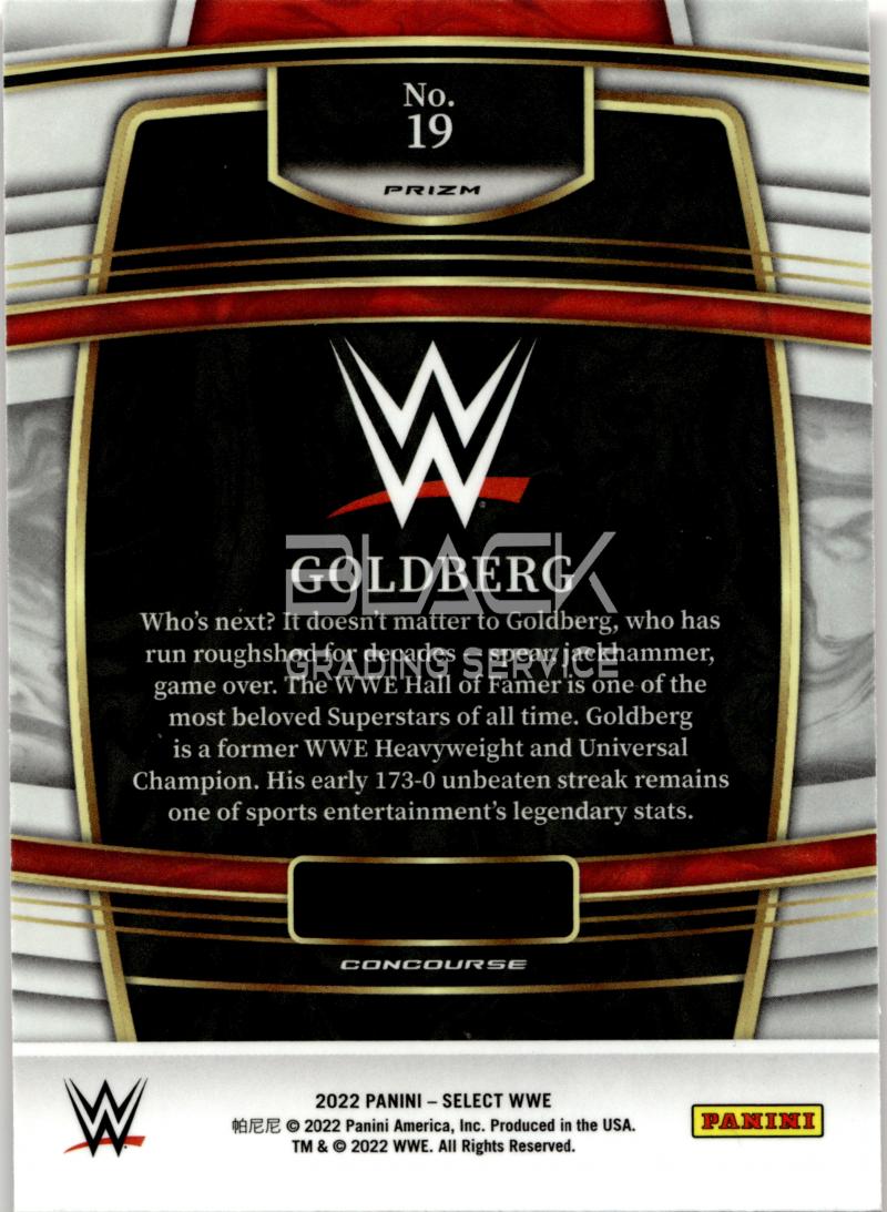 Back - Panini Select WWE Wrestling