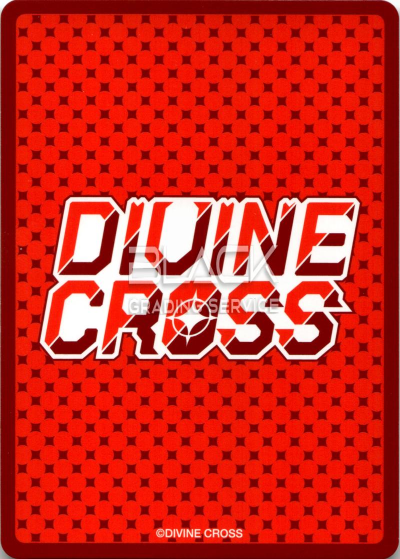 Back - Divine Cross Last Origin Grand Prix Tournament