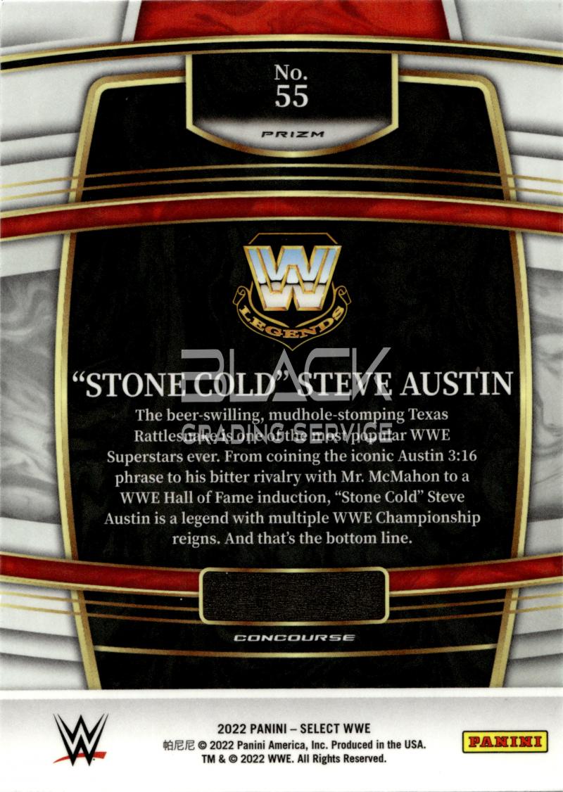 Back - Panini Select WWE