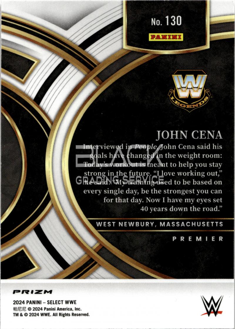 Back - Panini Select WWE