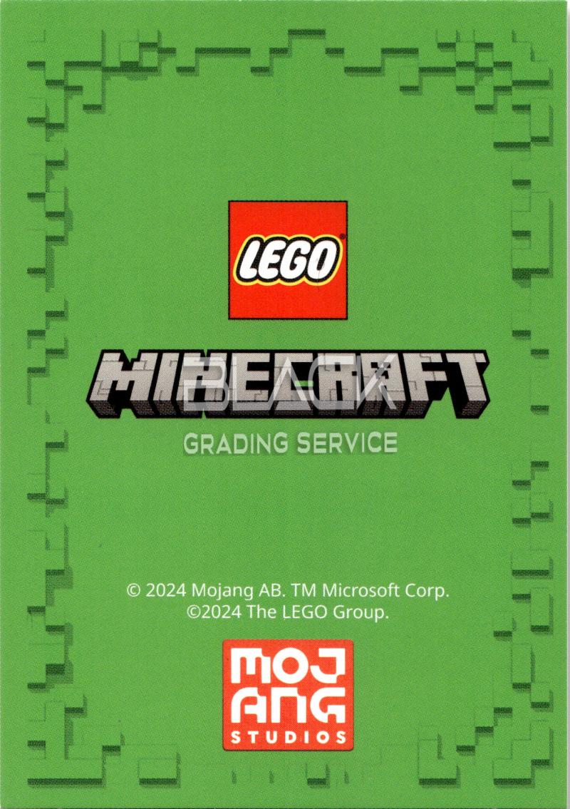 Back - Lego Minecraft