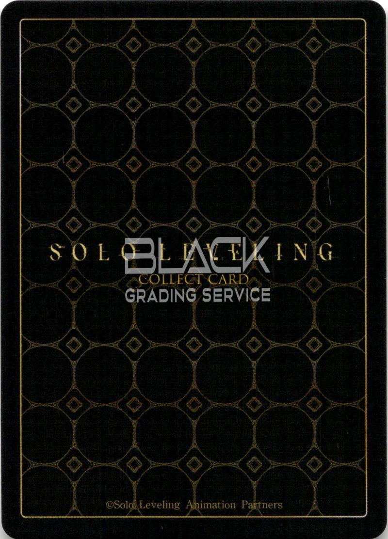 Back - Solo Leveling KOR Collect Card