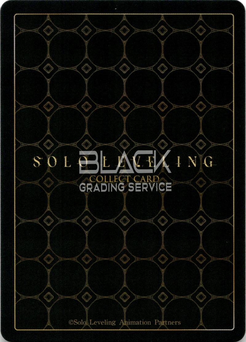 Back - Solo Leveling KOR Collect Card