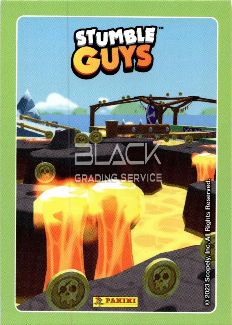 Back - Authentic Verified Condition 