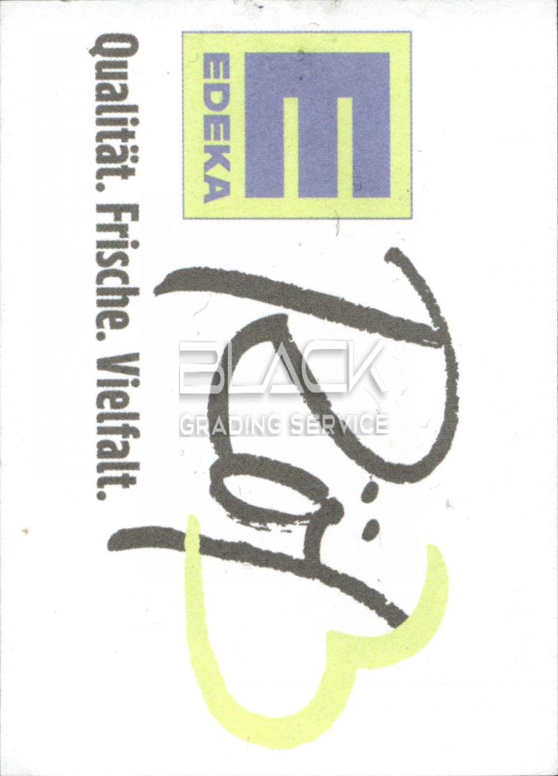 Back - Sticker Stars VfR Wormatia 08 Worms