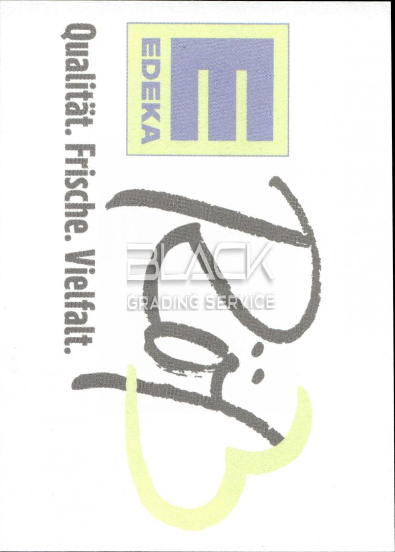 Back - Sticker Stars VfR Wormatia 08 Worms