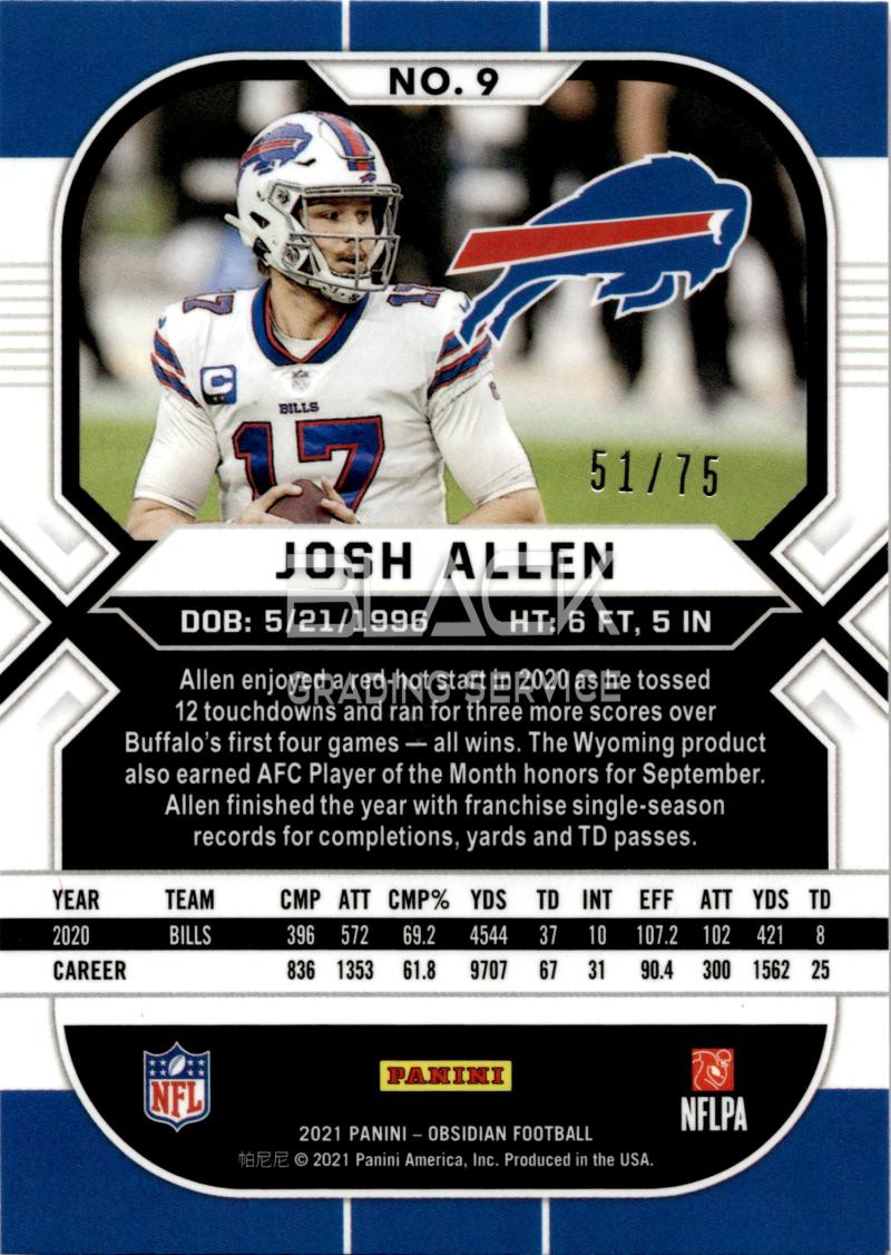 Back - Panini Obsidian Football