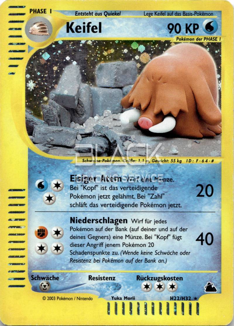 Pokemon GER Skyridge