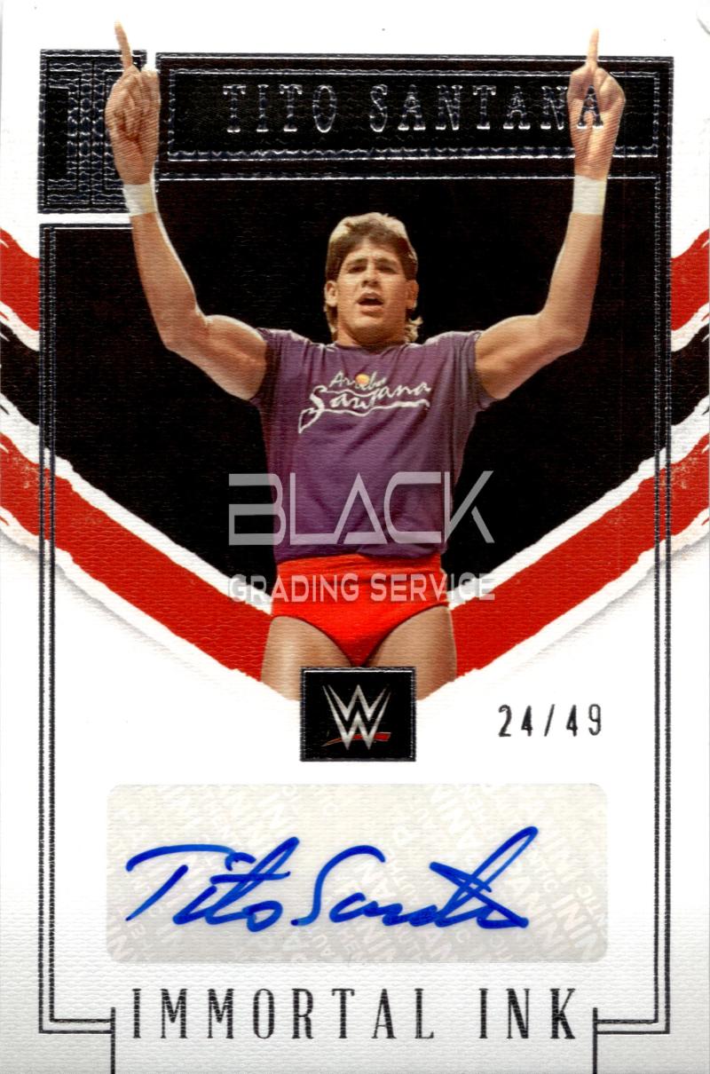 Panini Impeccable WWE
