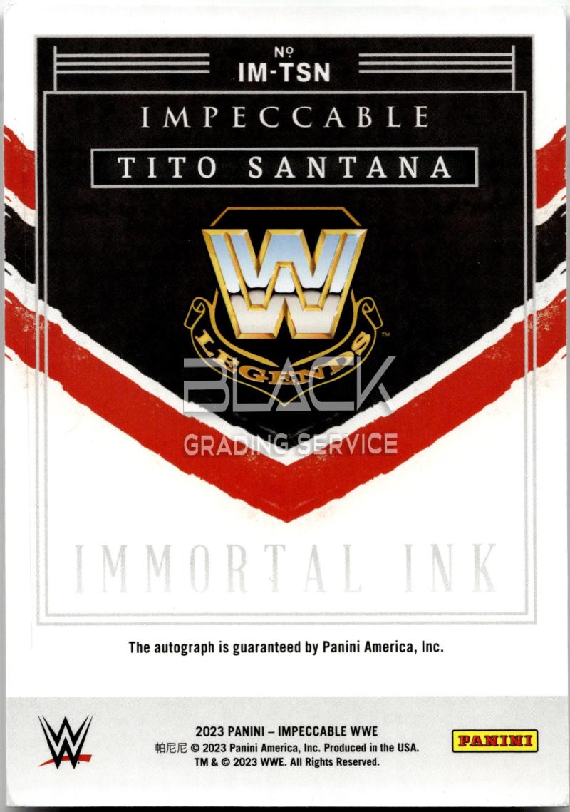 Back - Panini Impeccable WWE