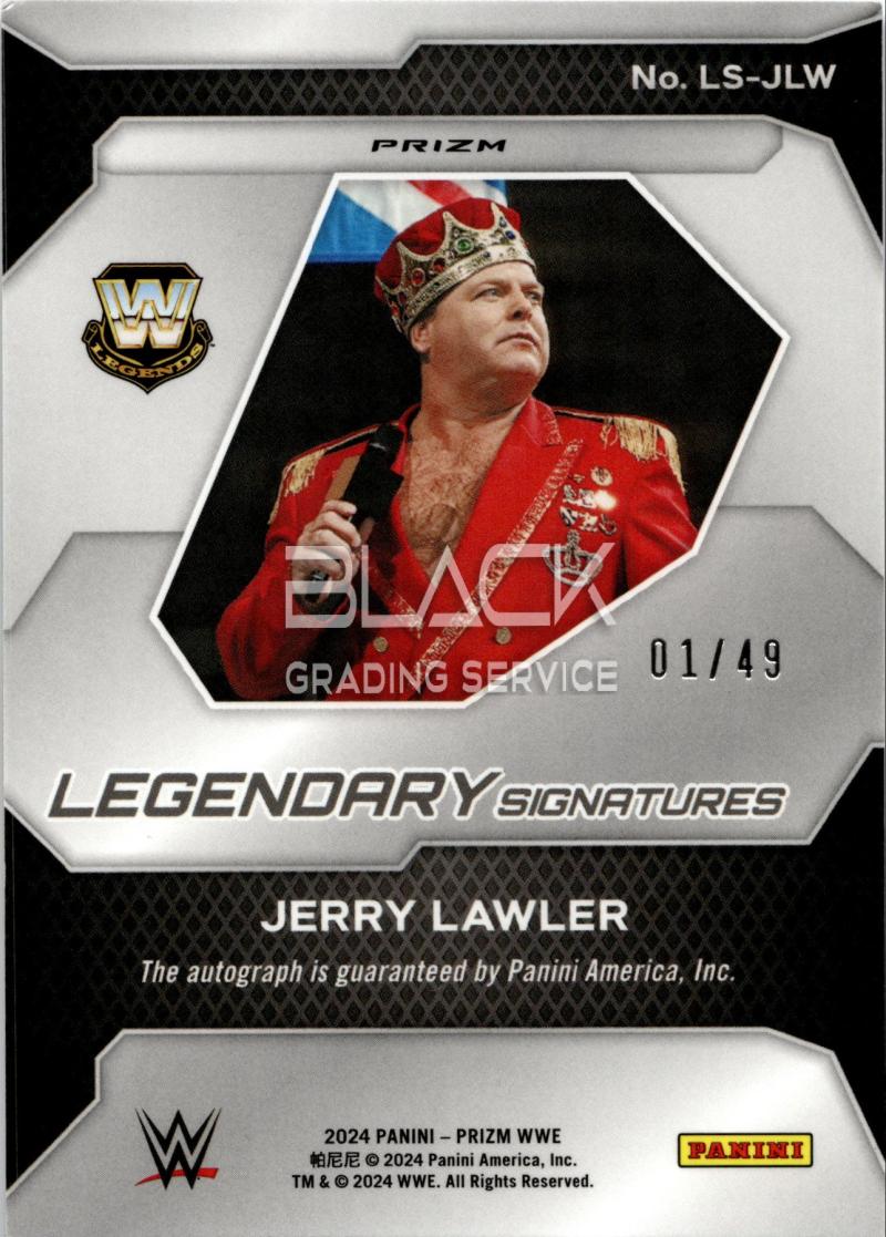 Back - Panini Prizm WWE 
