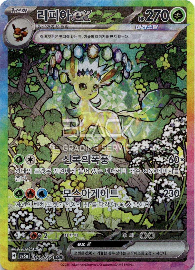 Pokemon S&V KOR Terastal Festival EX