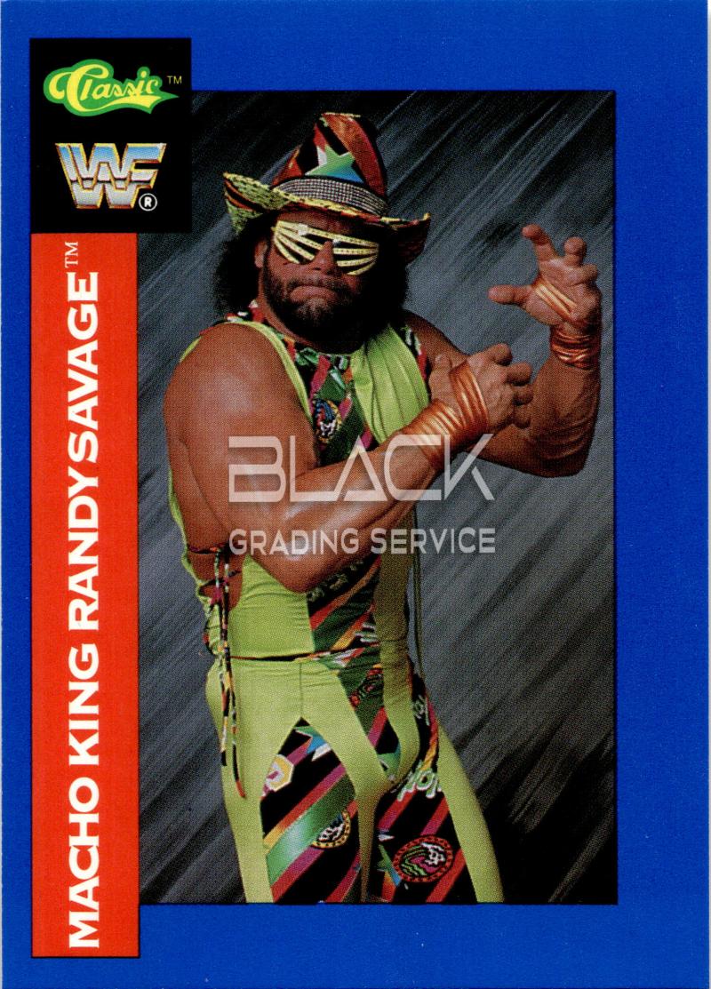 Classic Games WWF Superstars