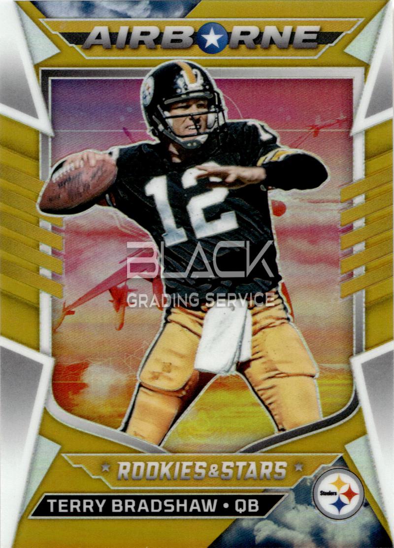 Panini Rookies & Stars
