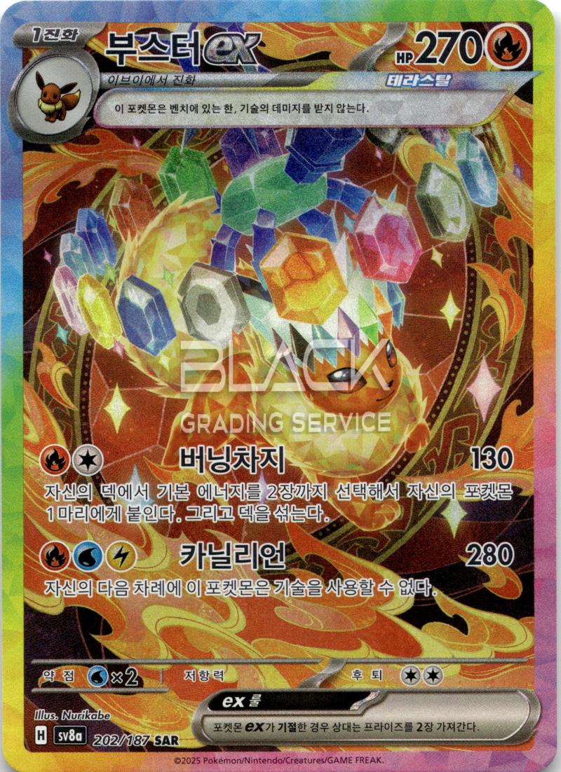 Pokemon S&V KO Terastal Festival EX