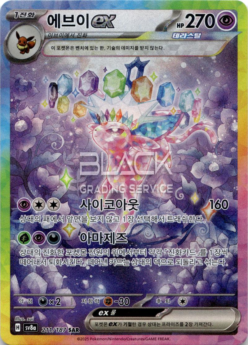 Front - Pokemon S&V KO Terastal Festival EX